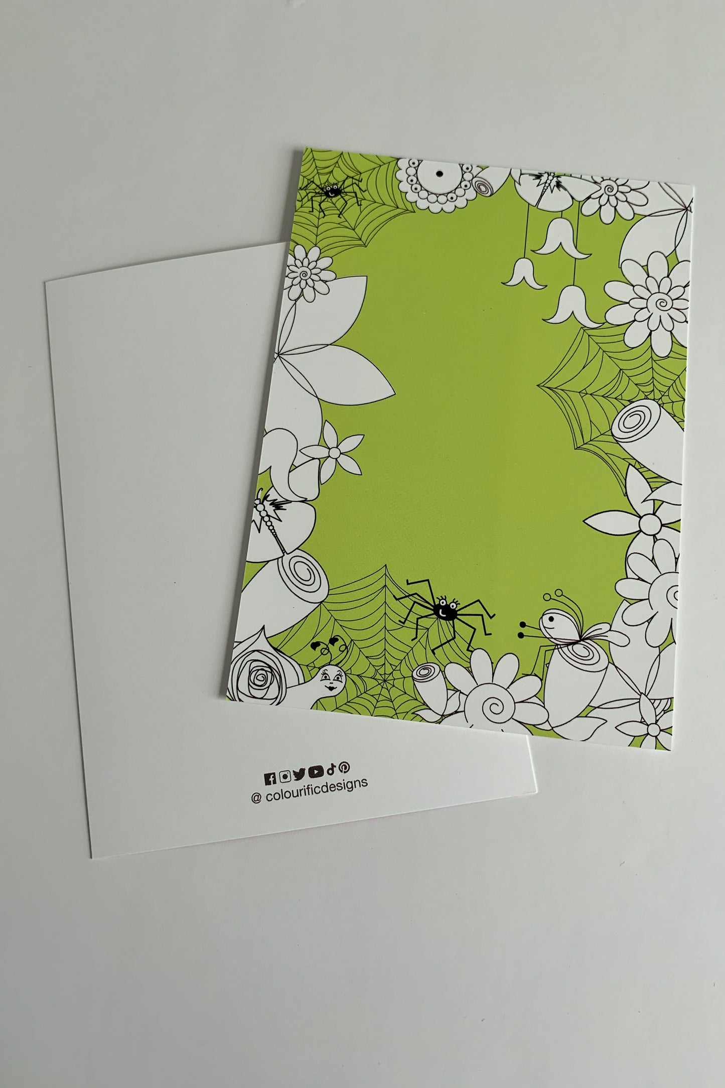 Spiders Web Postcard Print